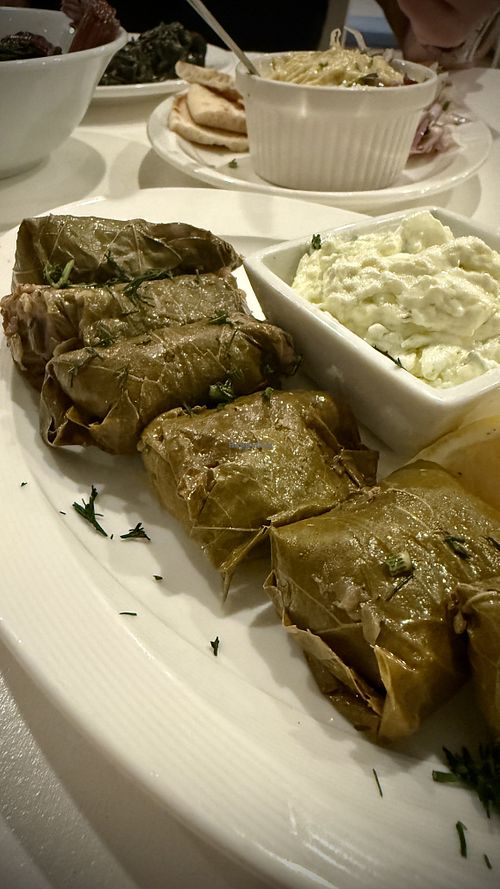 Dolmades  at Blu Kouzina in Sarasota