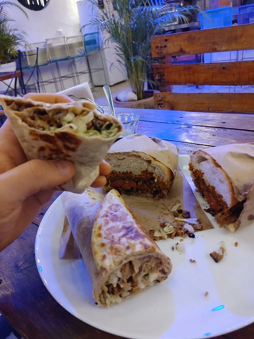 Burrito et "Celia." I was full after the burrito, I didn't expect the portion sizes to be this massive. at Coral Restaurante in Cozumel