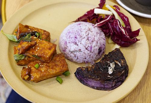 Main dish (vegan) at Graines du Jour in Paris