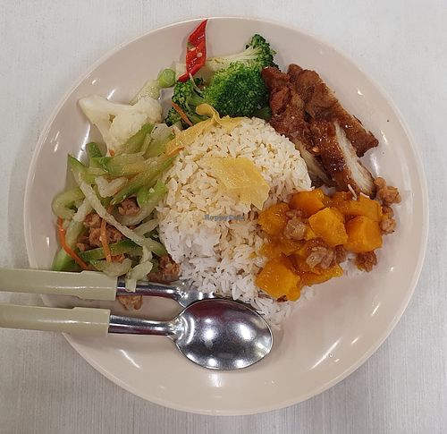 Economic Rice. Photo by Sam Lama at Fu Yuan 福缘素食 - Blk 58 Bedok South in East Singapore