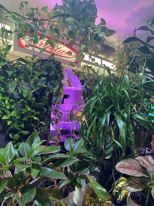   at Crystals Soul Cafe in Los Angeles