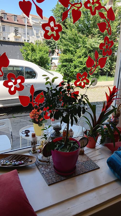  at Zdravo Ljubavi in Belgrade