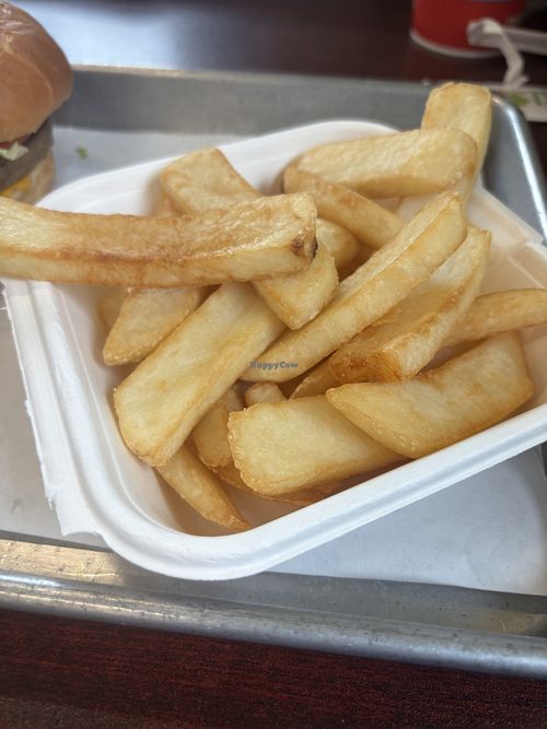 Fat fries  at Fatburger & Buffalo's Express in Trout Run