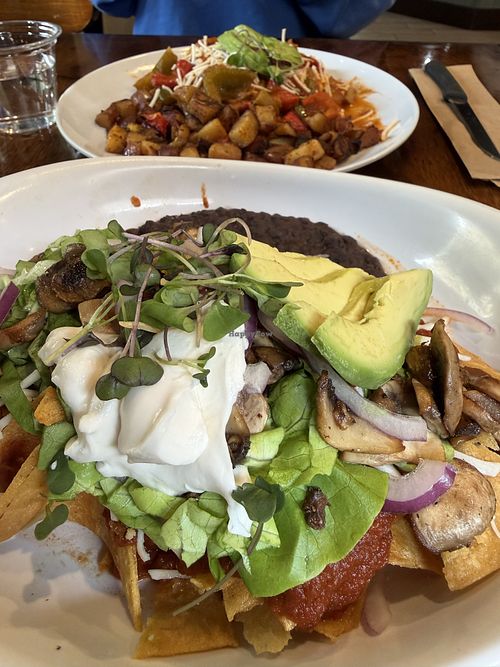   at Mama's Egg House in Idyllwild