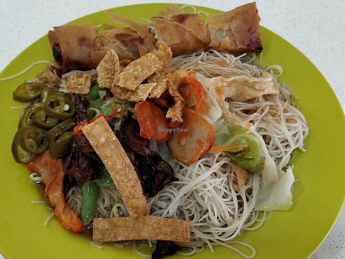 Vegetarian bee hoon and spring rolls at Vegetarian Food 素食圆 in Central Singapore