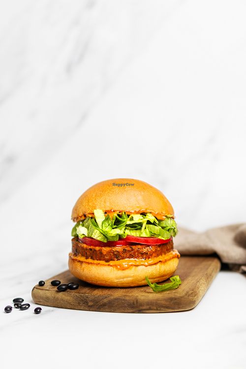  at Copper Branch in Nashville