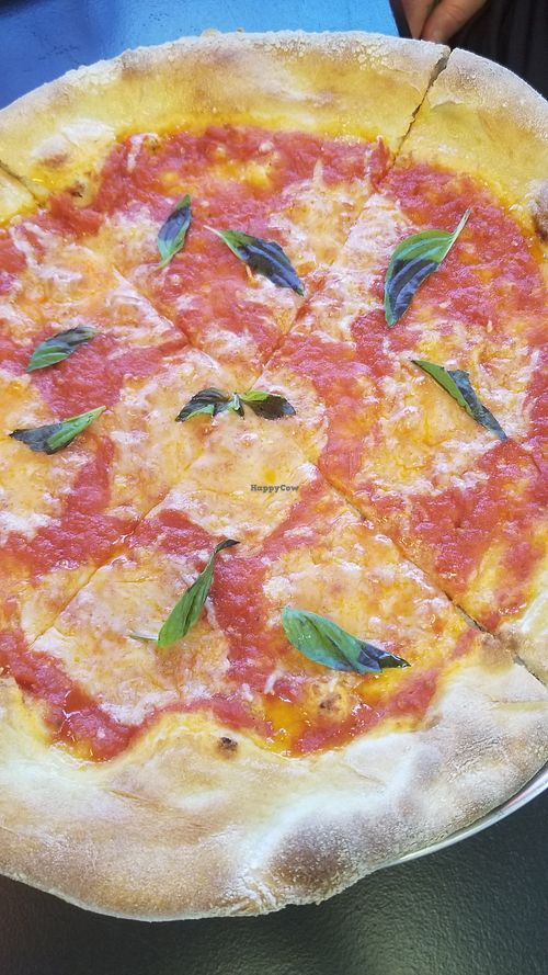 Vegan Margherita pizzette at D'Matteos Pizza & Grill in Ronkonkoma