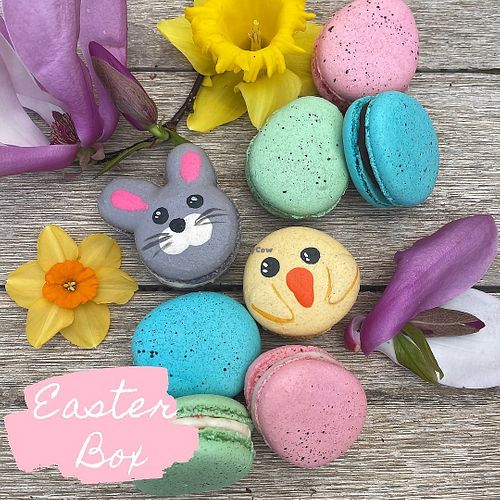 Image of Little Blue Macaron