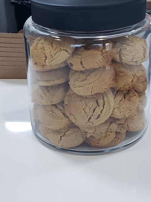 Peanut Butter chip cookies at Dunn Baked in Clearwater