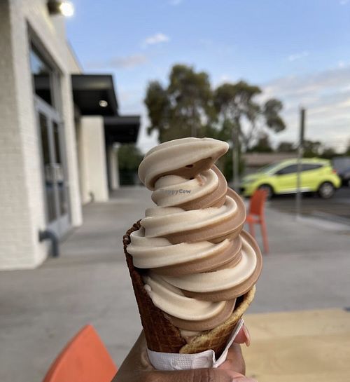 Swirl in waffle cone   at Bristlecone in Phoenix