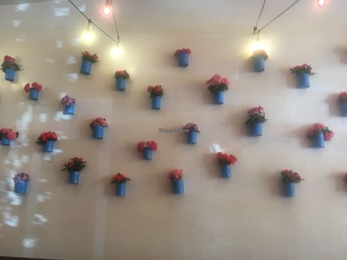 potted plants on wall at Sugar Taco in Sherman Oaks