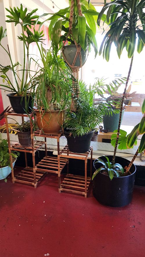  at Pure Soul in Durham