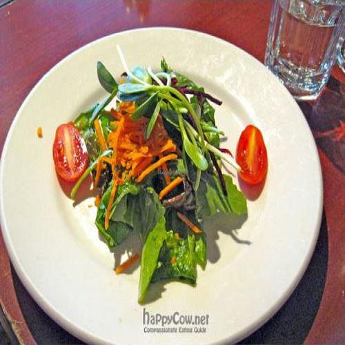 House Salad at Caravan of Dreams in New York City