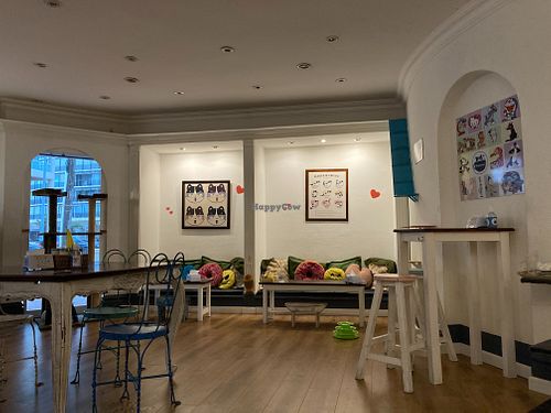 Inside the cafe  at Adrianuzca's Cat Café in Punta Del Este