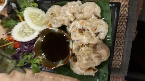Steamed dumplings at Vlodge Vegan Hotel in Chiang Mai