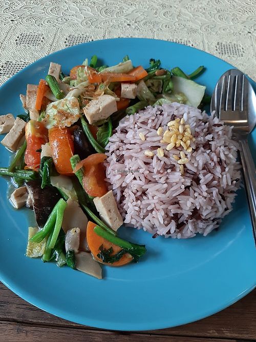 Image of Vegan Society