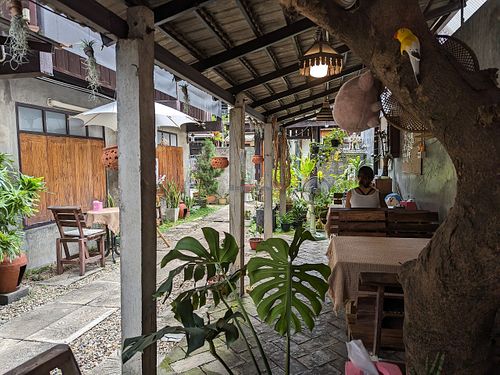 interior at Vegan Society in Chiang Mai