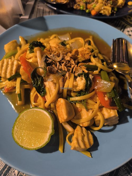 Stir Fry Noodles at Vegan Society in Chiang Mai