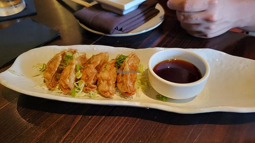 Veggie potstickers at Dragonfly Sushi & Sake Company in Gainesville