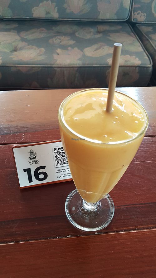 Jardín de Cactus | Papaya, mango and pineapple 5.00 at Cactus Garden in Lanzarote