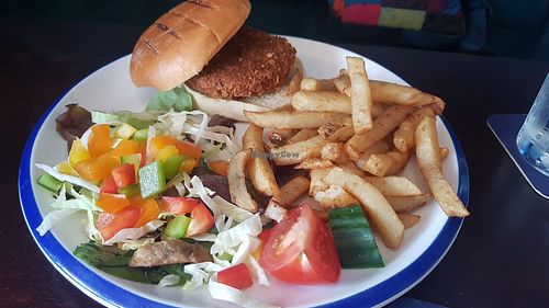 Vegan chicken burger with chips and salad at The Top House in Filey
