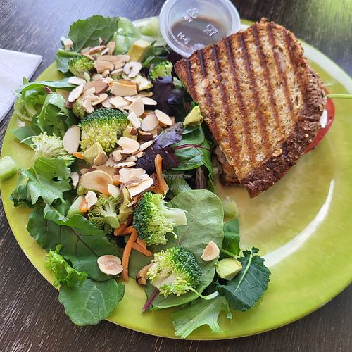 Robin salad & Chickpea sandwich at Naturally Cafe in New Braunfels