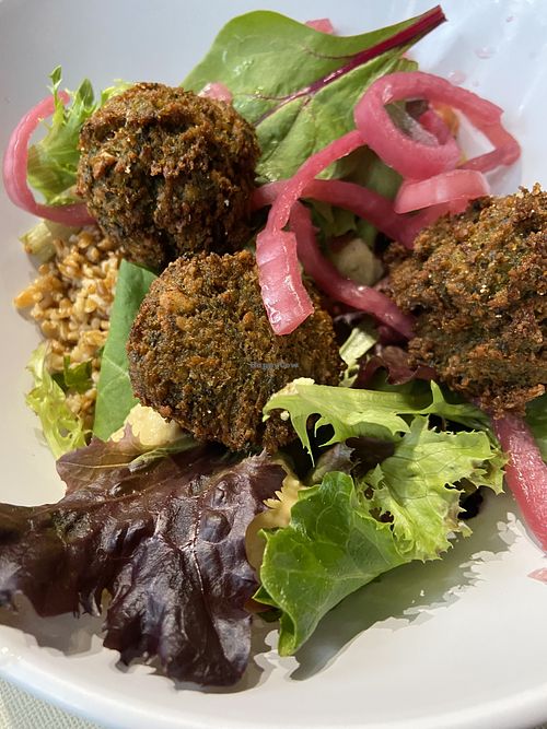   at Base Camp Eatery in Yosemite Valley