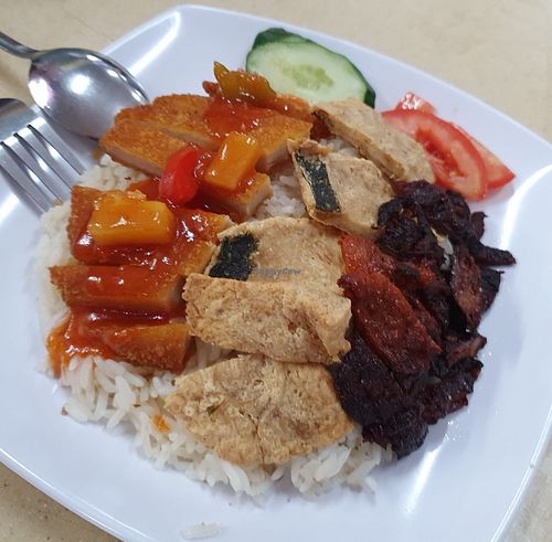 Combo rice for specially for Sam Lama. Sweet and Sour sliced fish, roasted chicken and char siew. Photo by Sam Lama at Yi Xiang Vegetarian - 異香素食 in Central Singapore