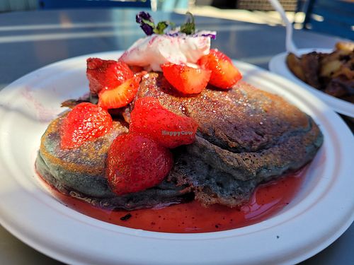  at Plant Joy in Charlotte