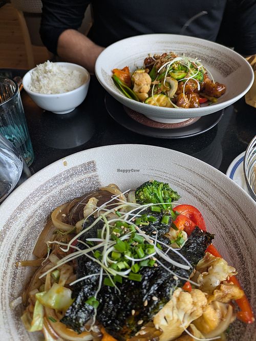  at Vegan World Peace by Loving Hut in Reykjavik