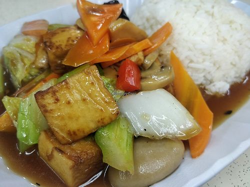 Braised tofu with rice at Supreme Vege 善心缘 - Jurong E in West Singapore