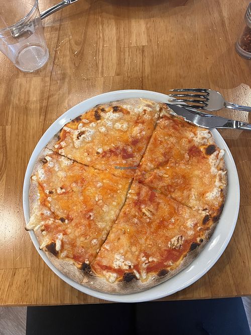   at Mister O1 in Coconut Grove