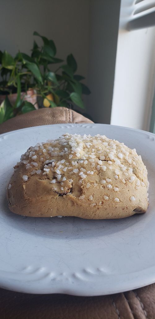 Vegan cranberry scone bought from the bakery! Sooo yummy  at Mason & Greens in Alexandria