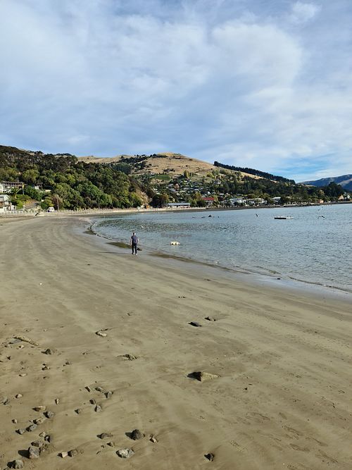 View from harbar, now called Tīni Gin Bar & Eatery. at Harbar in Akaroa