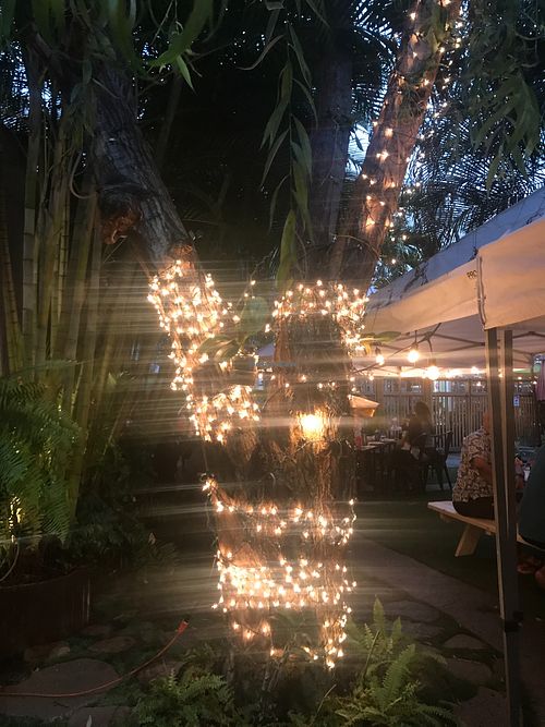 Courtyard lights at night at Olay's Thai Lao Cuisine in Honolulu