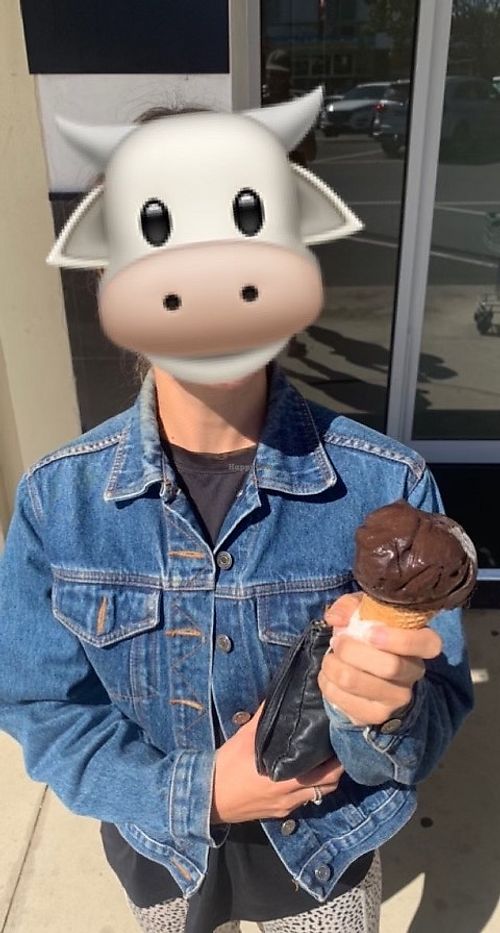 A Happy Cow with Vegan Chocolate Ice Cream at The Riviera Ice Cream Co in Lakes Entrance