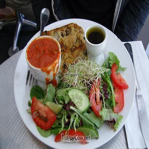 vegan quice with bolognese sauce at TeaNY in New York City