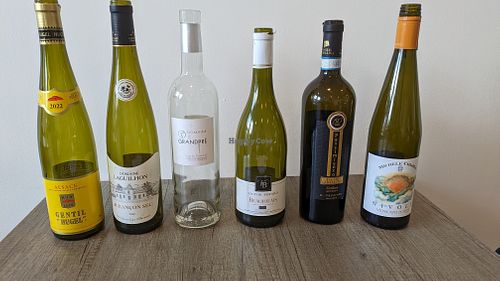 Vegan wine tasting at Holy Cannoli in Blackburn