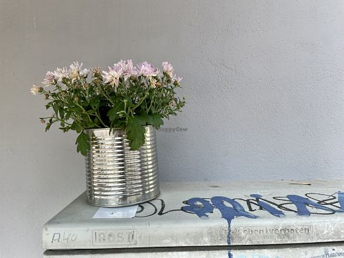 outside at Südlicht Cafe in Cologne