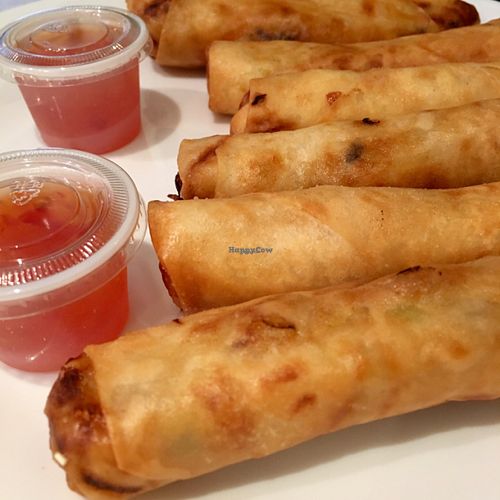 springrolls  at Loving Hut - Fredenborgsveien in Oslo