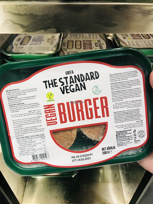 Vegan burger  at Orfa The Standard Vegan in Istanbul