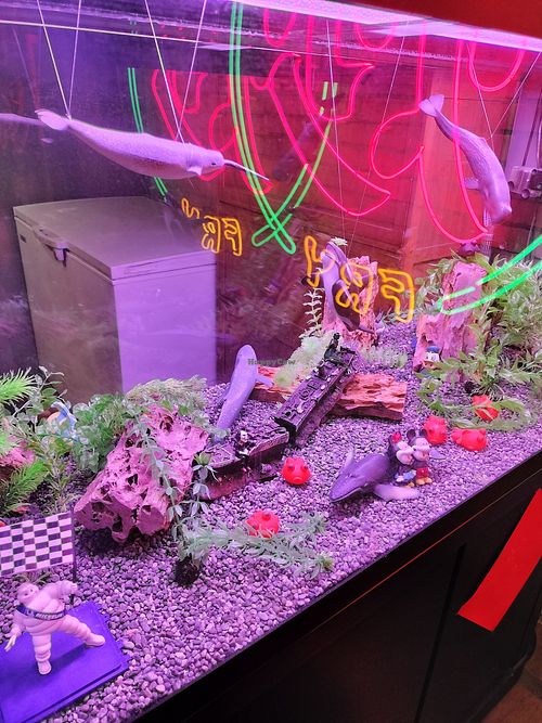 An ethical fish tank!! at Chao 炒炒蔬食熱炒 in Taipei
