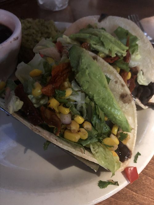 Iron Cactus San Antonio Texas Restaurant HappyCow