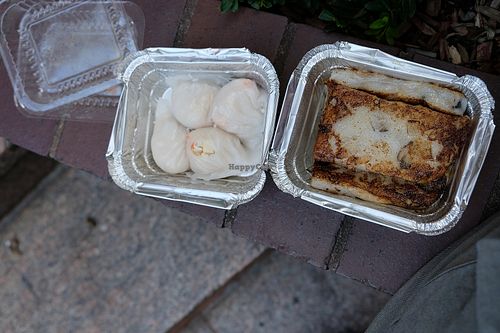 Shrimp Dumplings and Turnip Cake.  Outside of Harley Davidson store (recommended). at Vegetarian Dim Sum House in New York City