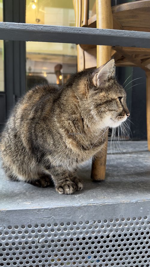   at The Vegan Regime in Istanbul