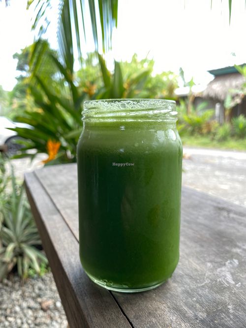 Juice For Life Puerto Viejo De Talamanca Restaurant HappyCow
