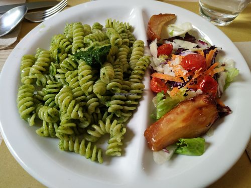 Pasta and salad at Zenzero in Bologna