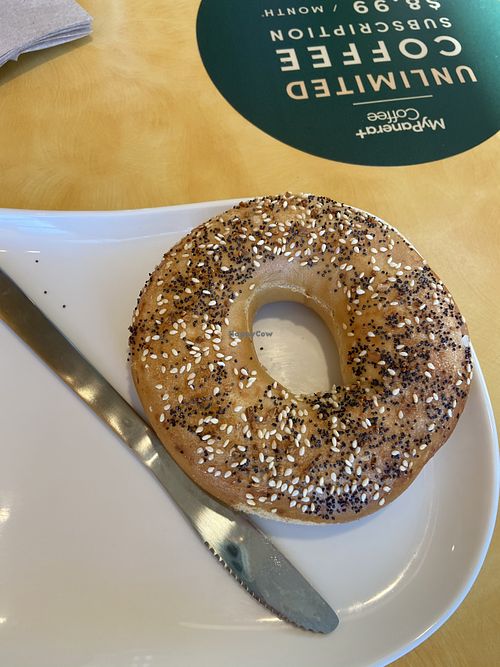 Everything Bagel (100% recommend) at Panera Bread in Panama City Beach