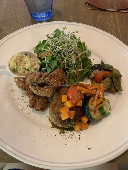 Lunch plate with karage and split pea daal sauce and salad at Rainbow Bird Rendezvous in Tokyo