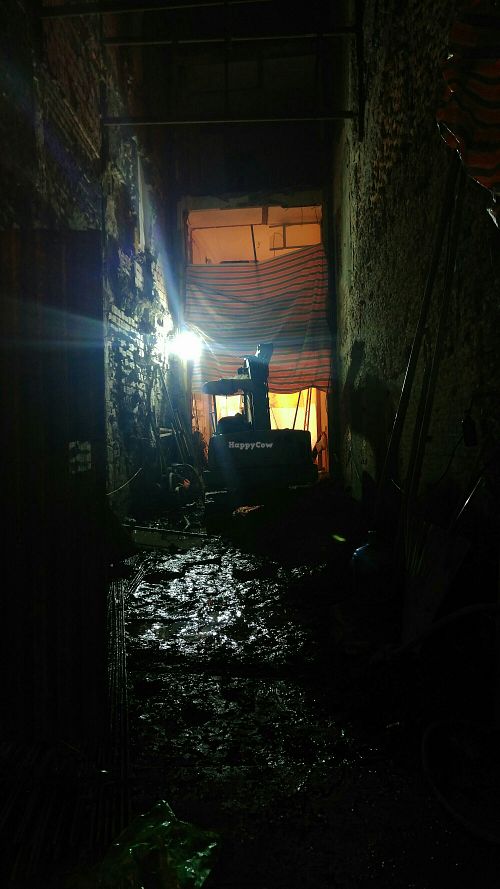 No more Kangaroo at Kangaroo Cafe in Hanoi